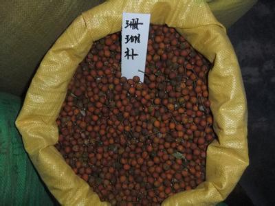 【咸陽市香椿種子價格】價格,廠家,其他種子、種苗-搜了網