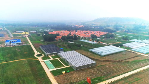 擬投資5.1億元 又一大項(xiàng)目落戶臨朐,位置在