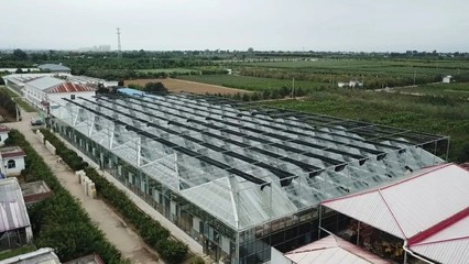 陜西種苗集團(tuán)成為全國最大國有種苗基地