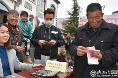 小連翹撬動(dòng)大產(chǎn)業(yè)中藥材種植助力脫貧攻堅(jiān) --陜西中醫(yī)藥大學(xué)制藥廠赴旬邑收購(gòu)連翹