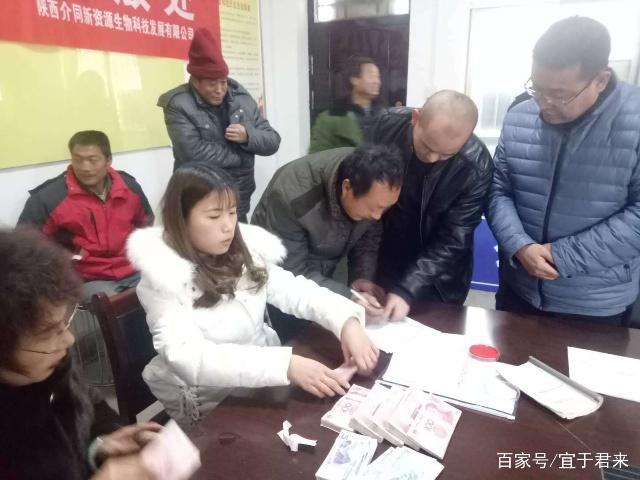 宜君縣哭泉鎮(zhèn):高鈣菜種植讓群眾脫貧致富不缺&ldquo;鈣&rdquo;