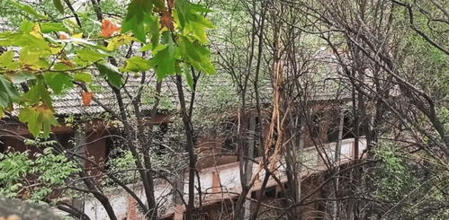 陜西三線廠 曾生產單一的軍品,如今逐漸沒落被荒廢