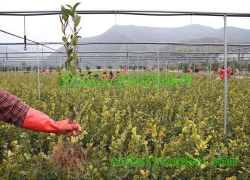 價格 廠家 中國供應(yīng)商