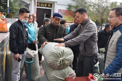 小連翹撬動(dòng)大產(chǎn)業(yè) 中藥材種植助力脫貧攻堅(jiān)——陜西中醫(yī)藥大學(xué)制藥廠赴旬邑收購(gòu)連翹記