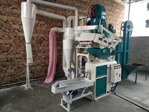 新型組合碾米機 小空間大作為，平穩(wěn)運行鑄就精品